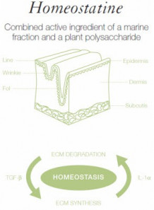 Homeostatine