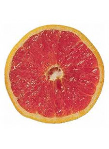 Grapefruit Flavor (Water Soluble Powder)