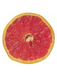  Grapefruit Flavor (Water Soluble Powder)