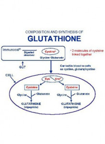 N-Acetyl Cysteine (เร่งสังเคราะห์ Glutathione)