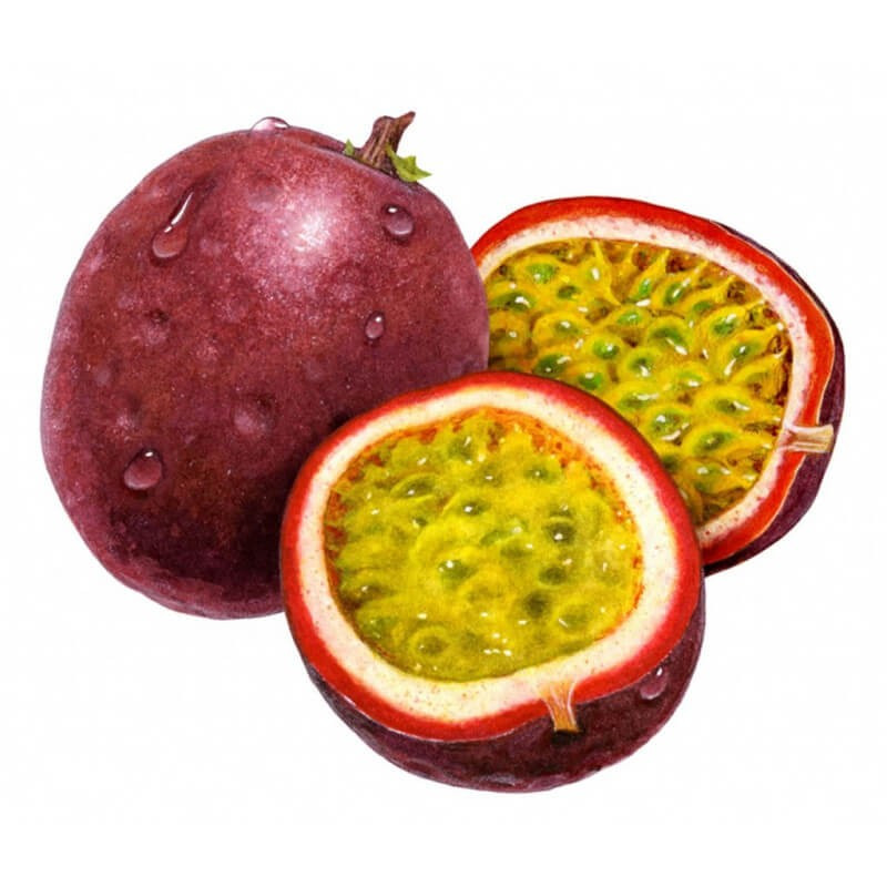 Passion Fruit Flavor (Water Soluble Powder)
