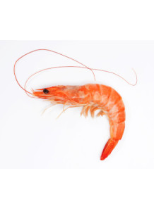 Shrimp Flavor (Water...