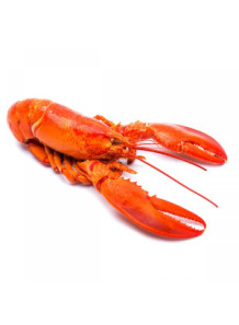  Lobster Flavor (Water Soluble Powder)