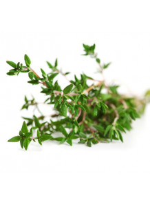 Thyme Flavor (Water Soluble Powder)