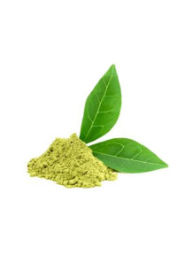  Green Tea Flavor (Water Soluble Powder)