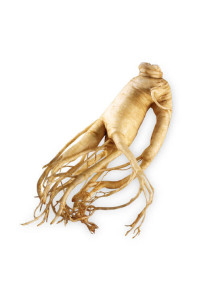  Ginseng Flavor (Water Soluble Powder)