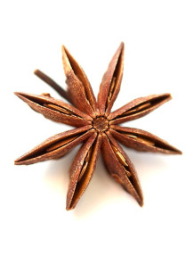  Star Anise Flavor (Water Soluble Powder)