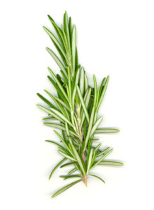 Rosemary Flavor (Water...