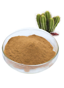  Cactus Extract (Opuntia Dillenii)