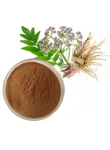 Valerian Extract