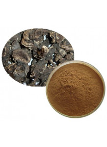 Black Cohosh Extract (2.5% Triterpene Glycosides)