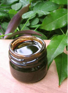 Peru Balsam Extract (Food Flavor) FEMA 2116