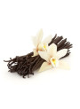 Vanilla Extract (Food Flavor, Alcohol-Soluble)