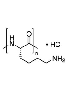 (E)-Polylysine HCL (Food...