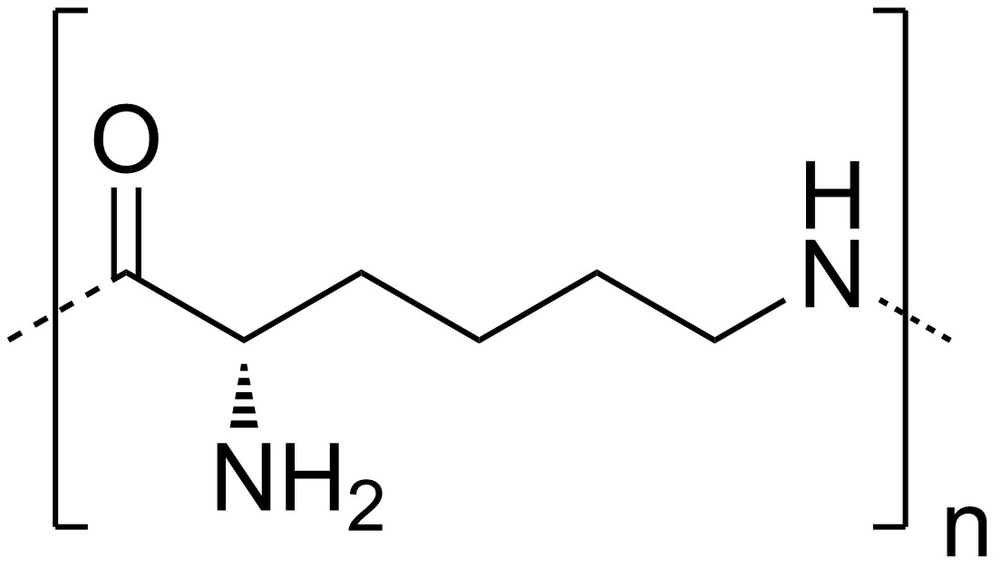 (E)-Polylysine (Food Preservative)