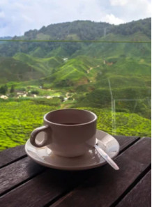 Mountain Coffee Flavor (Water/Oil Disperse)