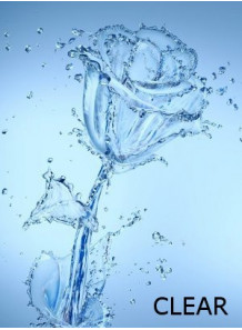 Flora Solve™ Clear (ผสมน้ำหอมในน้ำ ชนิดไม่มีสี)