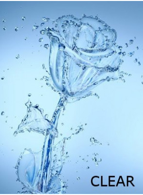 Flora Solve™ Clear (ผสมน้ำหอมในน้ำ ชนิดไม่มีสี)