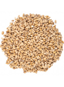 Malt Flavor (Water/Oil Disperse)