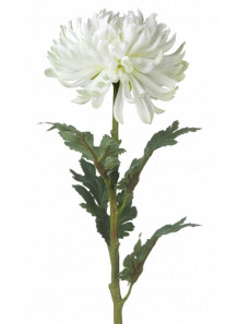Chrysanthemum Flower Flavor (Water/Oil Disperse)