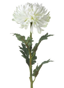  Chrysanthemum Flower Flavor (Water & Oil Soluble, Propylene Glycol Base)