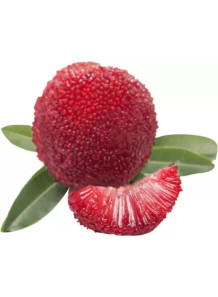  Bayberry Flavor (Water & Oil Soluble, Propylene Glycol Base)