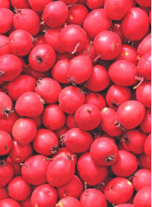 Hawthorn Berry Flavor (Water/Oil Disperse)