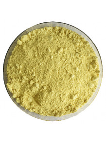 Pure-Kaempferol™