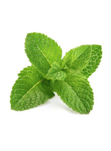  Spearmint Flavor (Water-Soluble)