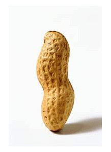 Peanut Flavor (Water-Soluble)