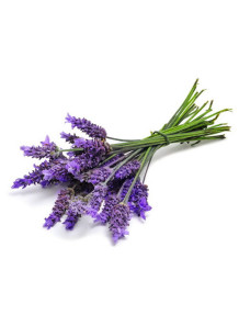  Lavender Flavor (Water-Soluble)