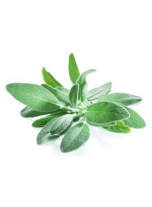 Sage Flavor (Water-Soluble)