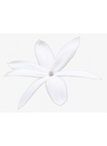 Jasmine Petal  Flavor (Water-Soluble)