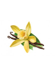 Vanilla Flavor (Water-Soluble)