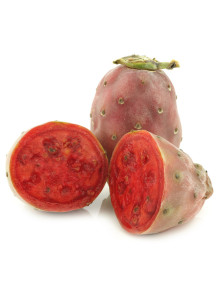  Prickly Pear Extract (Opuntia ficus indica)