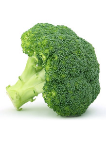  Broccoli Powder (Air-dried, Pure)