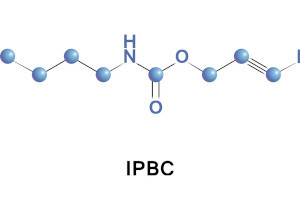 Iodopropynyl Butylcarbamate (IPBC, Powder 99%)