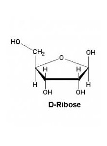 D-Ribose