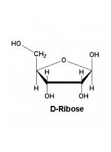 D-Ribose