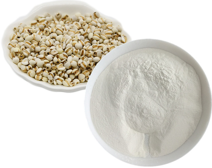 Coix Seed Powder