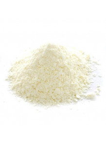 Yogurt Powder (Protein 23.5%)