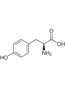  L-Tyrosine