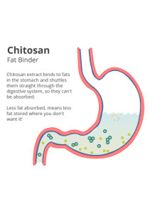  Fat-Sorb S™ (Chitosan 1,000 Daltons, 90% Purity)