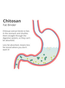  Fat-Sorb L™ (Chitosan 2,000 Daltons, 80% Purity)