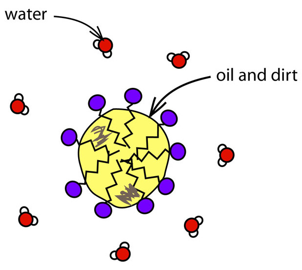 PEG-10 Isostearate