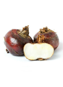 Water Chestnut Flavor...
