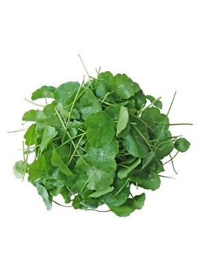 Centella Asiatica Extract (Madecassoside 7%, Liquid)