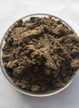 Black Bean Powder ผงถั่วดำ