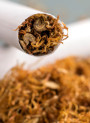 Tobacco Absolute