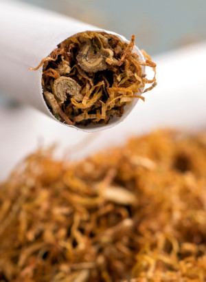 Tobacco Absolute